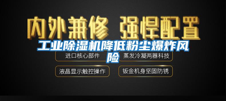 工業(yè)除濕機降低粉塵爆炸風(fēng)險