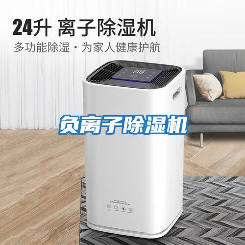 負離子除濕機
