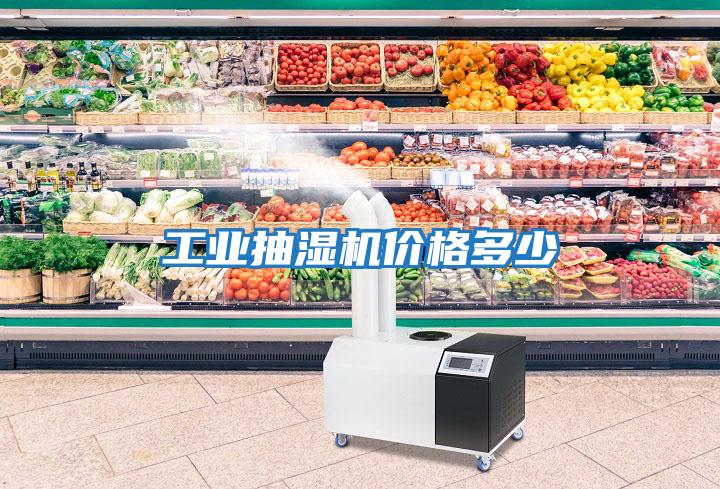 工業(yè)抽濕機價(jià)格多少
