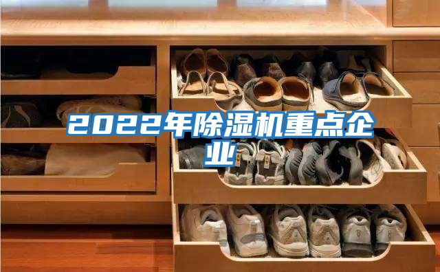 2022年除濕機重點(diǎn)企業(yè)