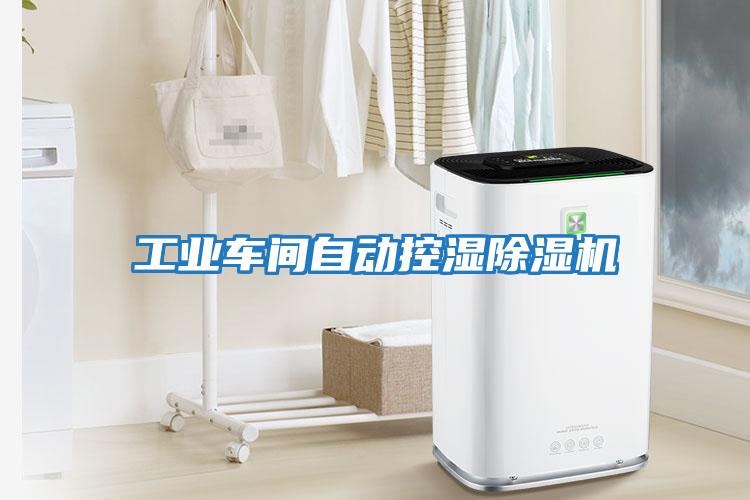 工業(yè)車(chē)間自動(dòng)控濕除濕機