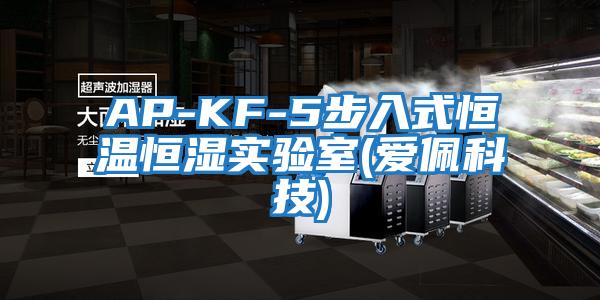AP-KF-5步入式恒溫恒濕實(shí)驗室(愛(ài)佩科技)
