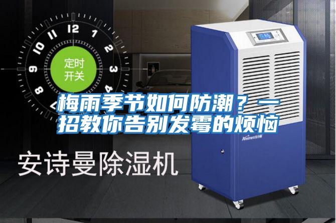 梅雨季節如何防潮？一招教你告別發(fā)霉的煩惱