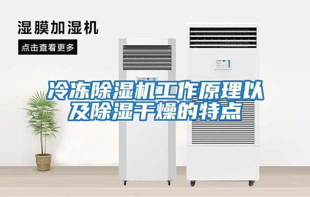 冷凍除濕機工作原理以及除濕干燥的特點(diǎn)