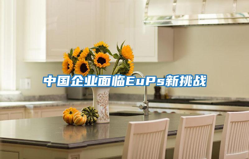 中國企業(yè)面臨EuPs新挑戰
