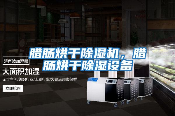 臘腸烘干除濕機，臘腸烘干除濕設備