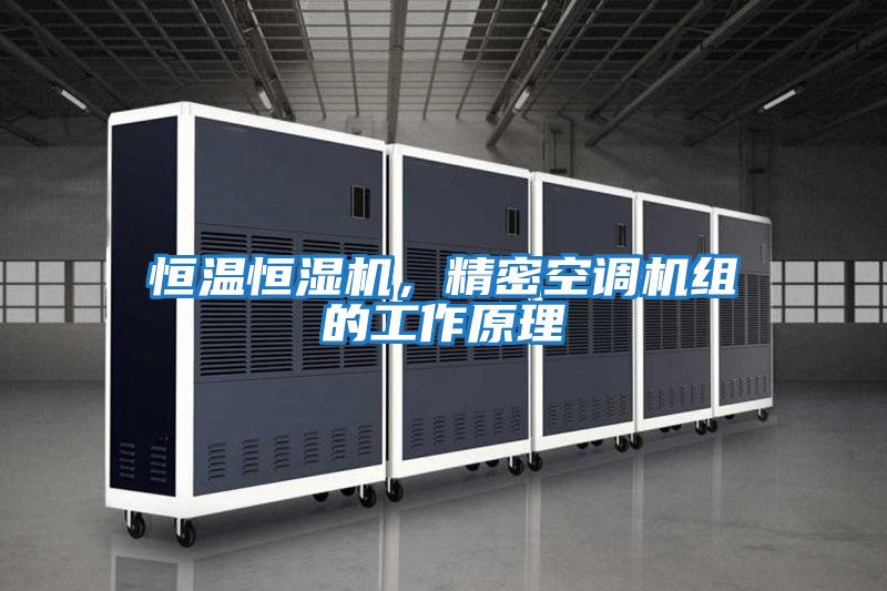 恒溫恒濕機，精密空調機組的工作原理
