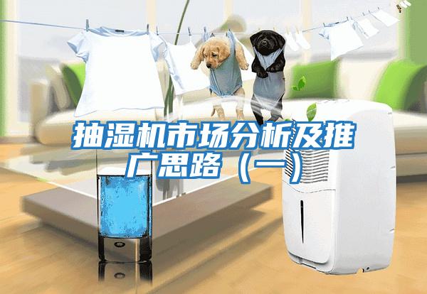 抽濕機市場(chǎng)分析及推廣思路（一）