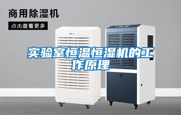 實(shí)驗室恒溫恒濕機的工作原理