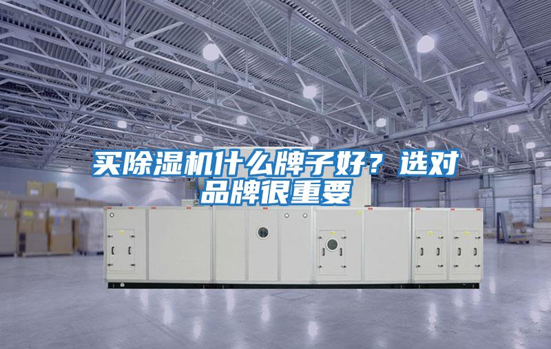 買(mǎi)除濕機什么牌子好？選對品牌很重要