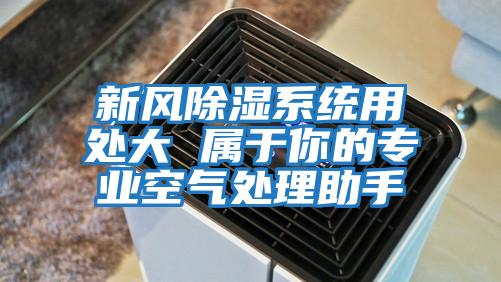 新風(fēng)除濕系統用處大 屬于你的專(zhuān)業(yè)空氣處理助手