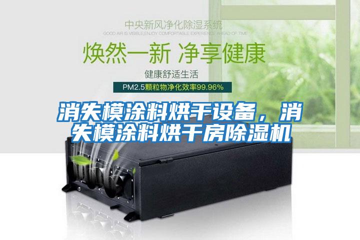 消失模涂料烘干設備，消失模涂料烘干房除濕機