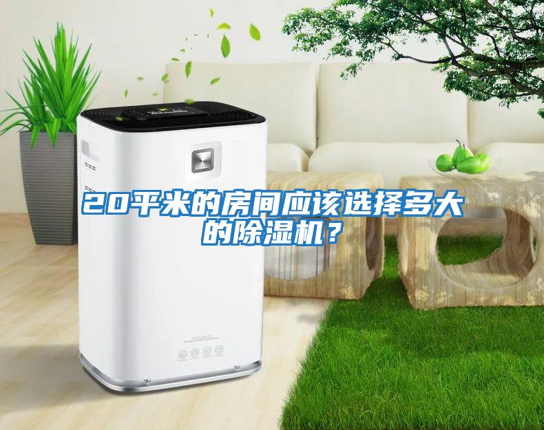 20平米的房間應該選擇多大的除濕機？