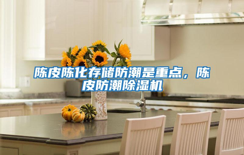 陳皮陳化存儲防潮是重點(diǎn)，陳皮防潮除濕機