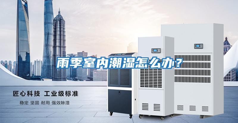 雨季室內潮濕怎么辦？