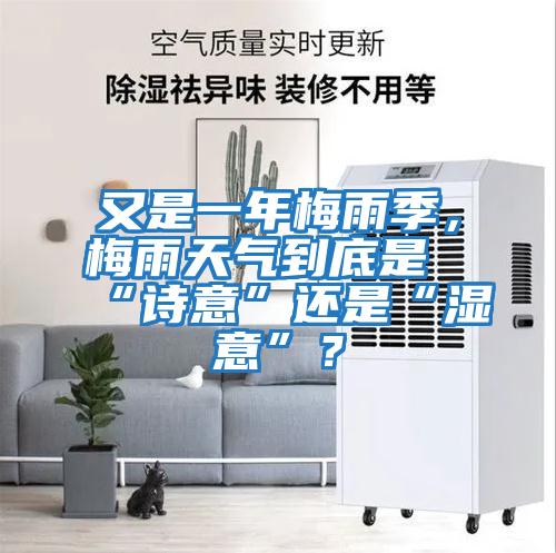 又是一年梅雨季，梅雨天氣到底是“詩(shī)意”還是“濕意”？