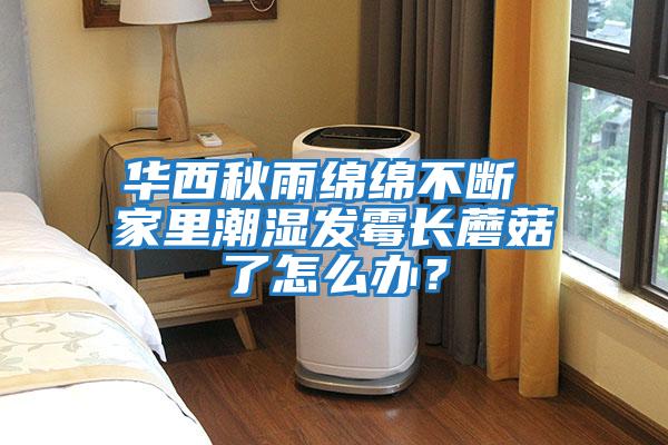華西秋雨綿綿不斷 家里潮濕發(fā)霉長(cháng)蘑菇了怎么辦？