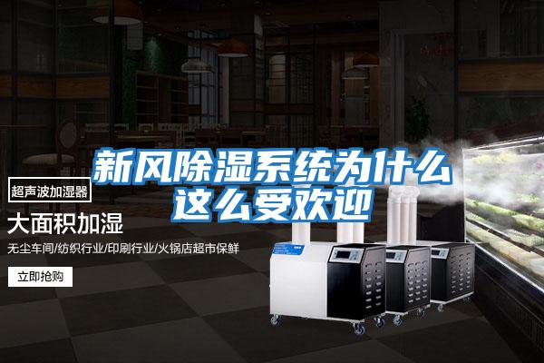 新風(fēng)除濕系統為什么這么受歡迎