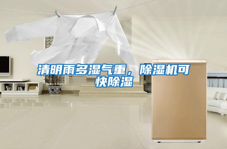 清明雨多濕氣重，除濕機可快除濕