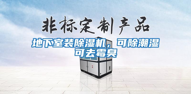 地下室裝除濕機，可除潮濕可去霉臭