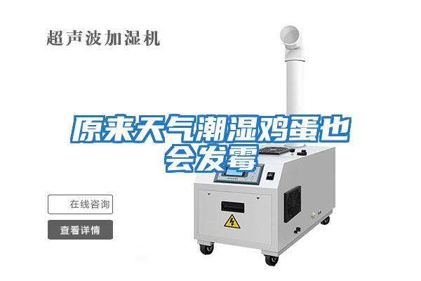 原來(lái)天氣潮濕雞蛋也會(huì )發(fā)霉