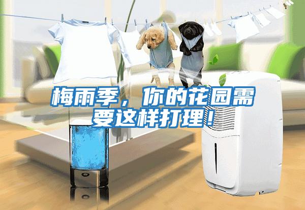 梅雨季，你的花園需要這樣打理！