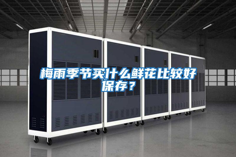 梅雨季節買(mǎi)什么鮮花比較好保存？