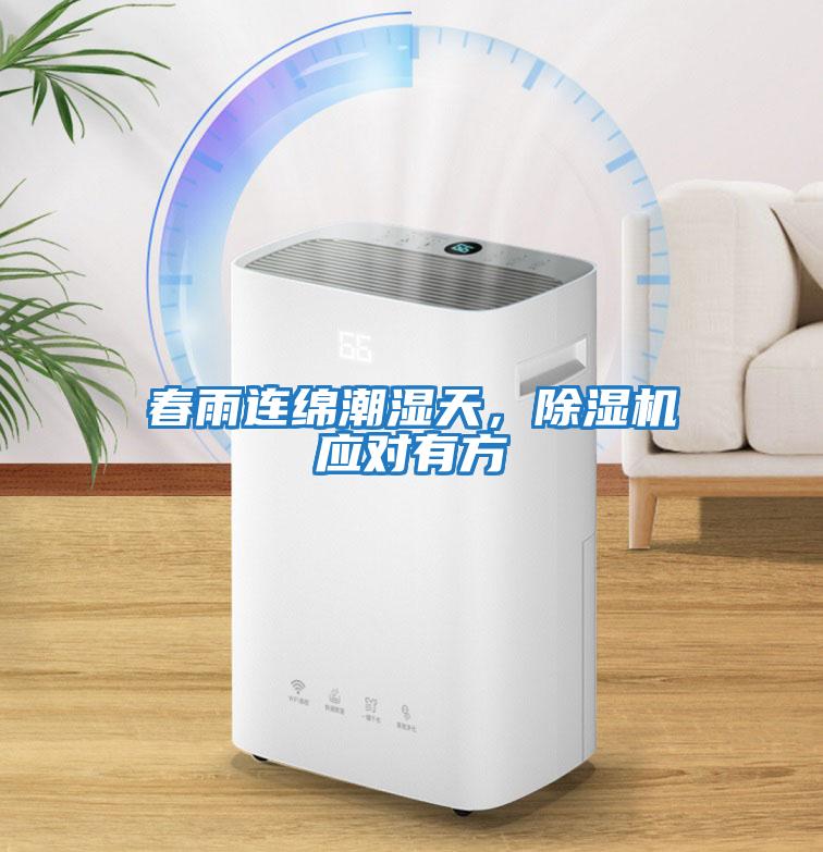 春雨連綿潮濕天，除濕機應對有方