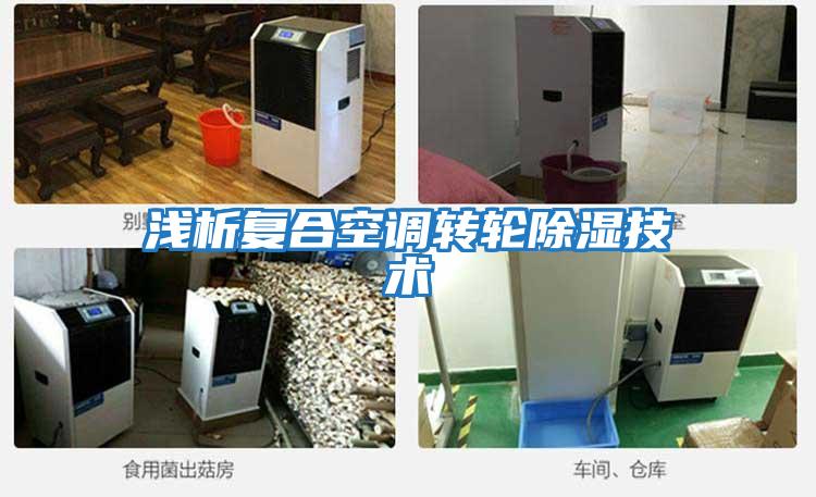 淺析復合空調轉輪除濕技術(shù)