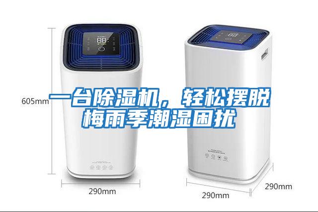 一臺除濕機，輕松擺脫梅雨季潮濕困擾