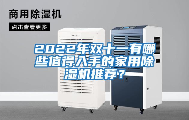 2022年雙十一有哪些值得入手的家用除濕機推薦？