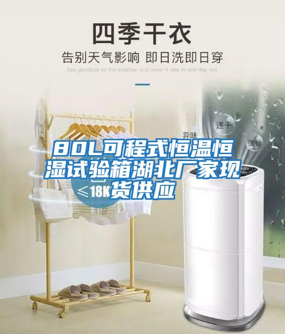 80L可程式恒溫恒濕試驗箱湖北廠(chǎng)家現貨供應