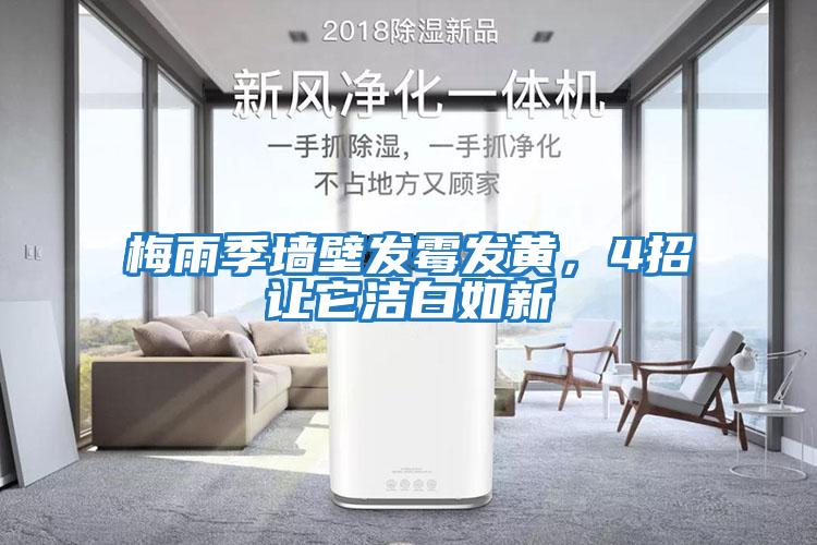 梅雨季墻壁發(fā)霉發(fā)黃，4招讓它潔白如新