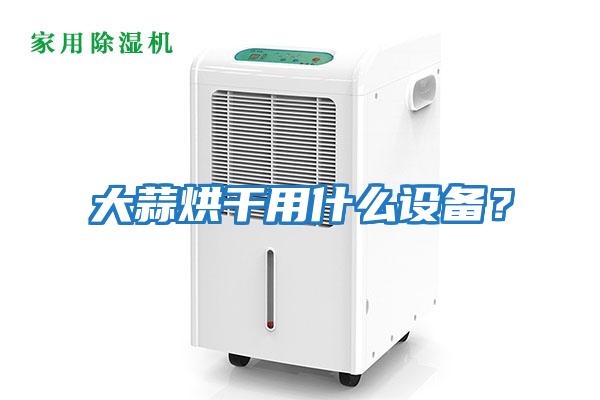 大蒜烘干用什么設備？
