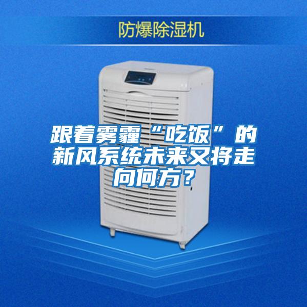 跟著(zhù)霧霾“吃飯”的新風(fēng)系統未來(lái)又將走向何方？