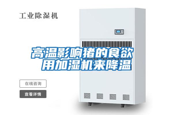 高溫影響豬的食欲 用加濕機來(lái)降溫