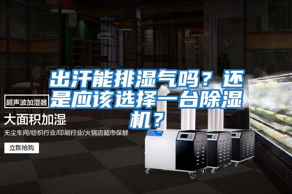 出汗能排濕氣嗎？還是應該選擇一臺除濕機？