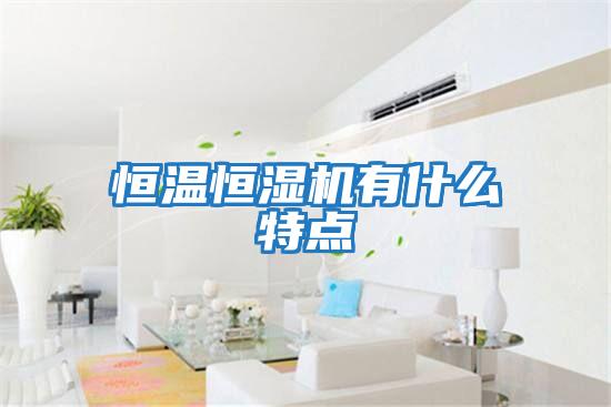恒溫恒濕機有什么特點(diǎn)