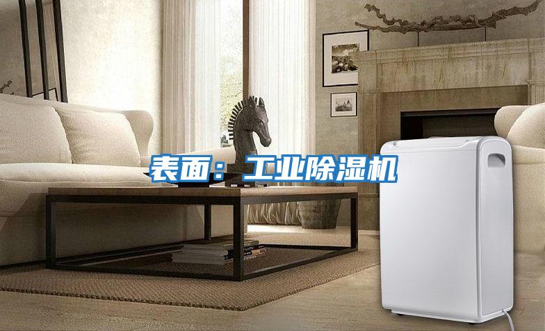 表面:工業(yè)除濕機