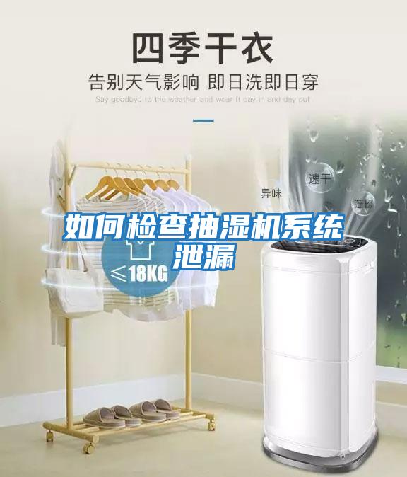 如何檢查抽濕機系統泄漏