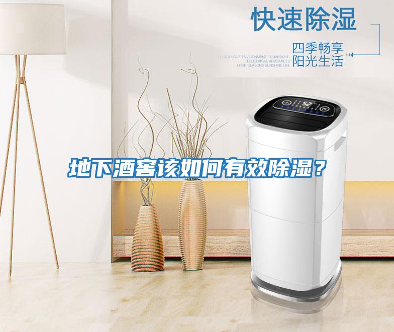 地下酒窖該如何有效除濕？
