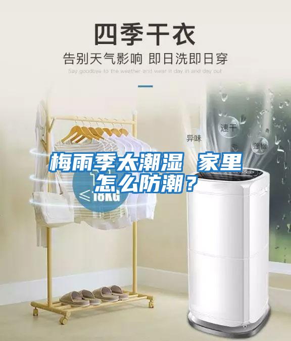 梅雨季太潮濕 家里怎么防潮？
