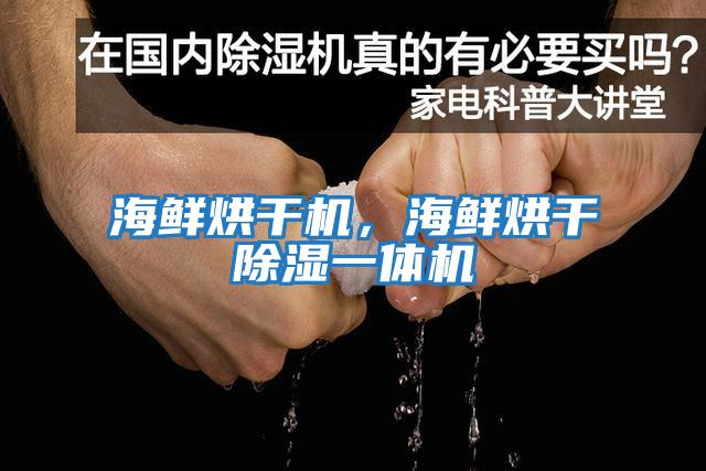 海鮮烘干機，海鮮烘干除濕一體機