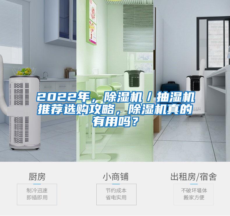 2022年，除濕機／抽濕機推薦選購攻略，除濕機真的有用嗎？