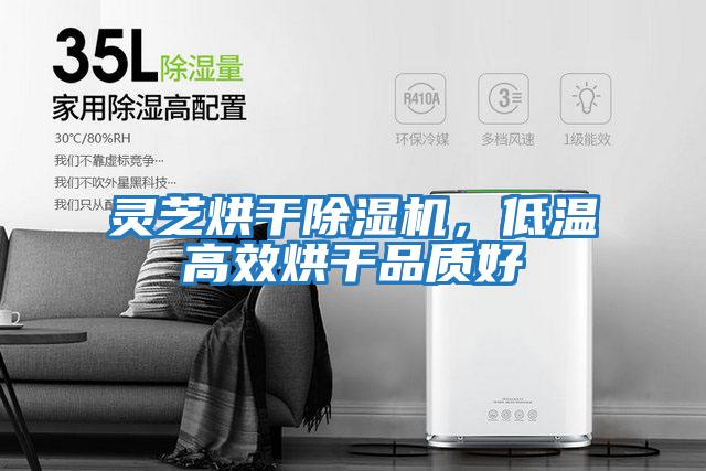 靈芝烘干除濕機，低溫高效烘干品質(zhì)好