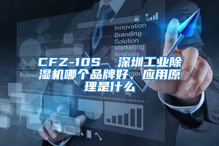 CFZ-10S  深圳工業(yè)除濕機哪個(gè)品牌好、應用原理是什么