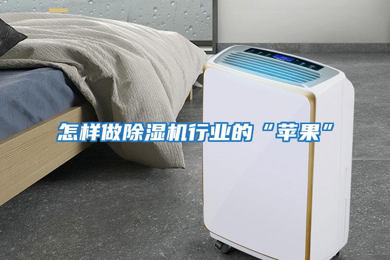 怎樣做除濕機行業(yè)的“蘋(píng)果”