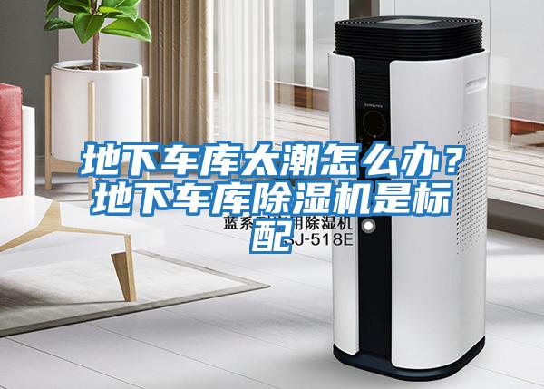 地下車(chē)庫太潮怎么辦？地下車(chē)庫除濕機是標配