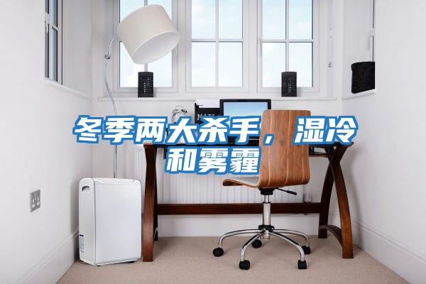 冬季兩大殺手，濕冷和霧霾