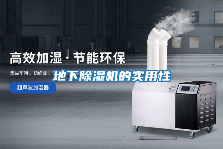 地下除濕機的實(shí)用性